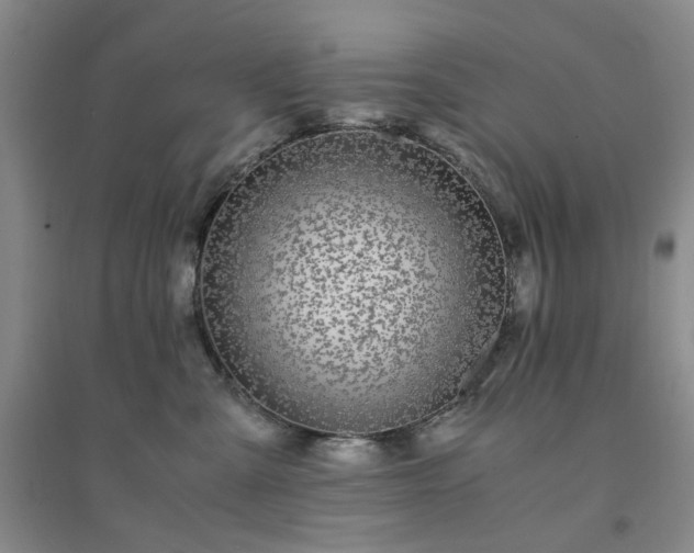 X0000094430427200711151346