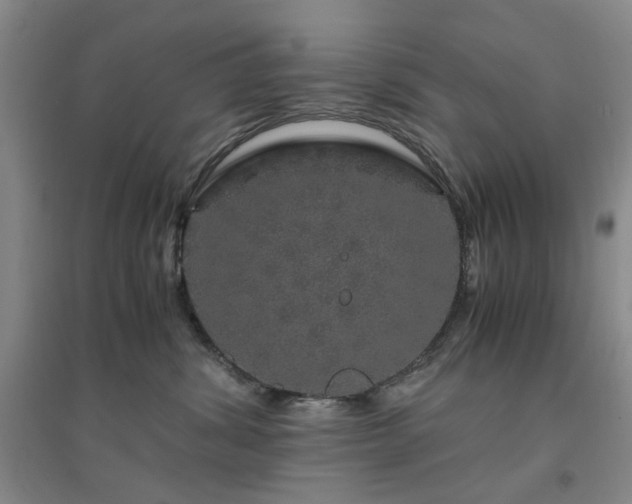 X0000094430428200711151346