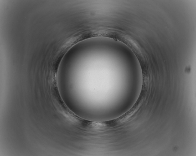 X0000094430429200711151346