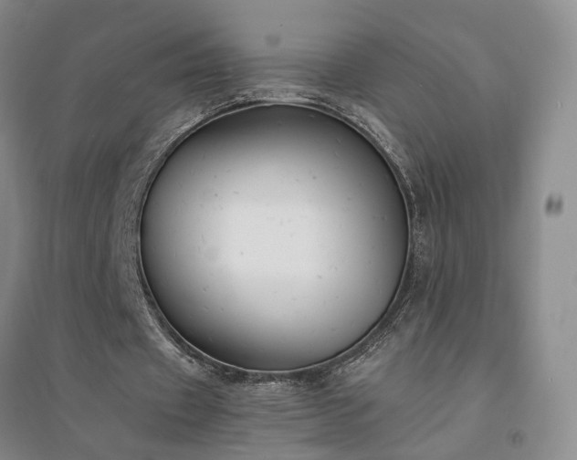 X0000094430433200711151345