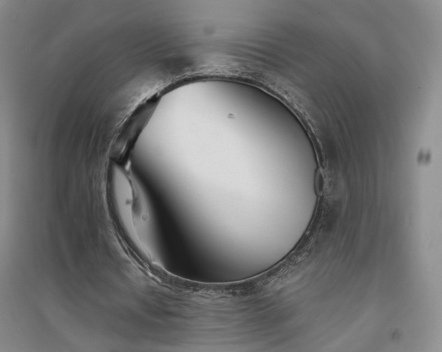 X0000094430434200711151345