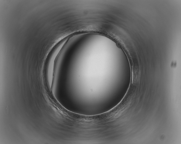 X0000094430435200711151345