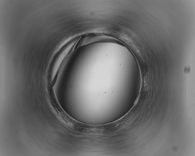 X0000094430436200711151345