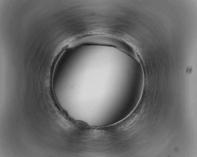 X0000094430437200711151345
