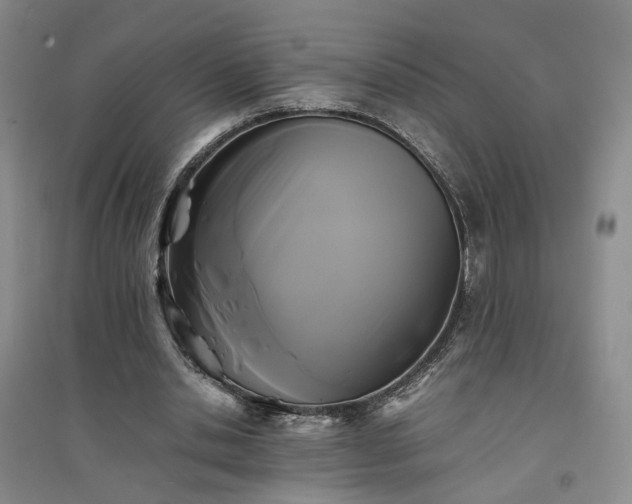 X0000094430438200711151345