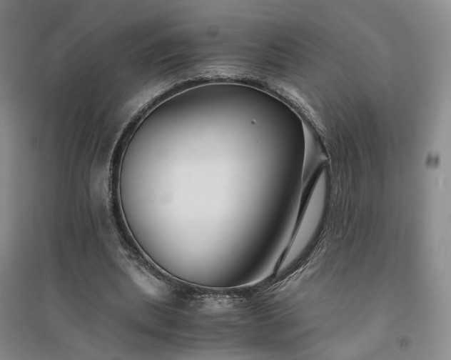 X0000094430439200711151345