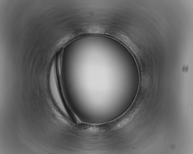 X0000094430441200711151345