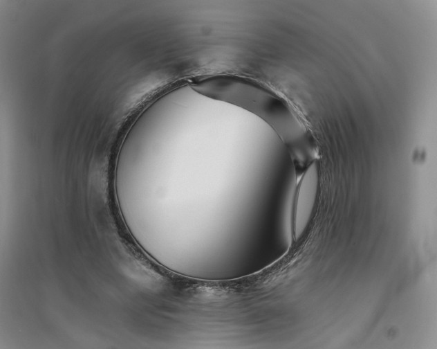 X0000094430442200711151345