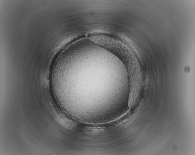X0000094430443200711151345