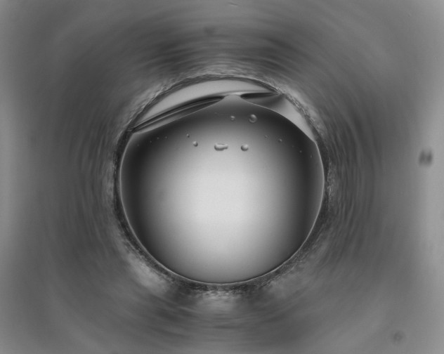 X0000094430445200711151345