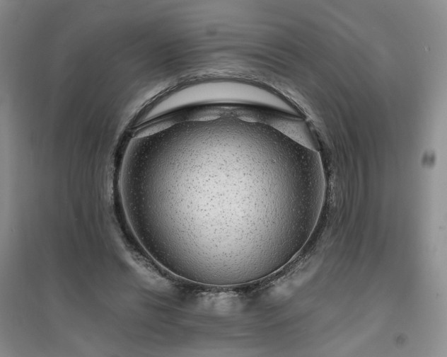 X0000094430446200711151345