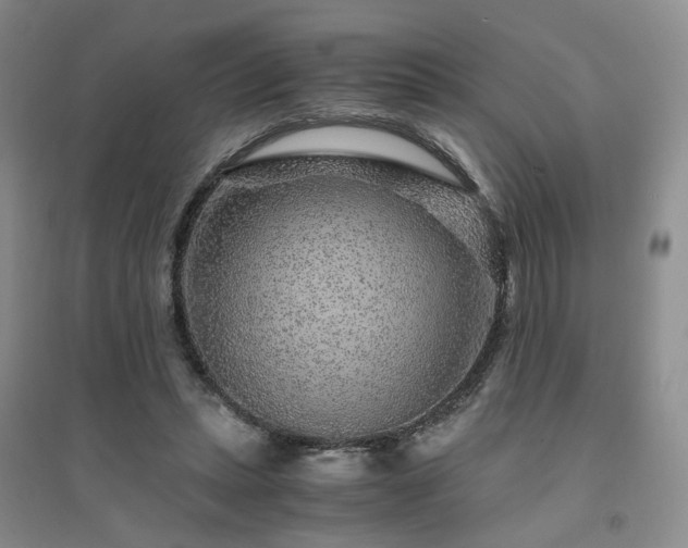 X0000094430447200711151345