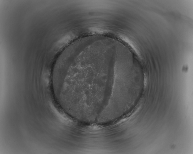 X0000094430451200711151346