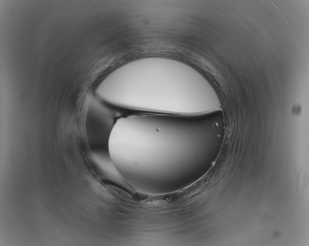 X0000094430452200711151346