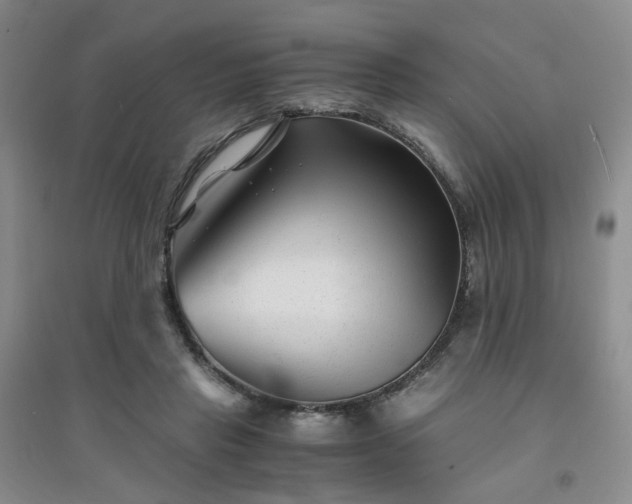 X0000094430453200711151346