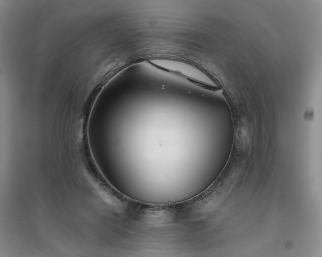 X0000094430454200711151346