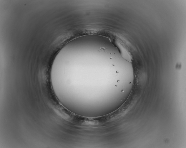 X0000094430455200711151346
