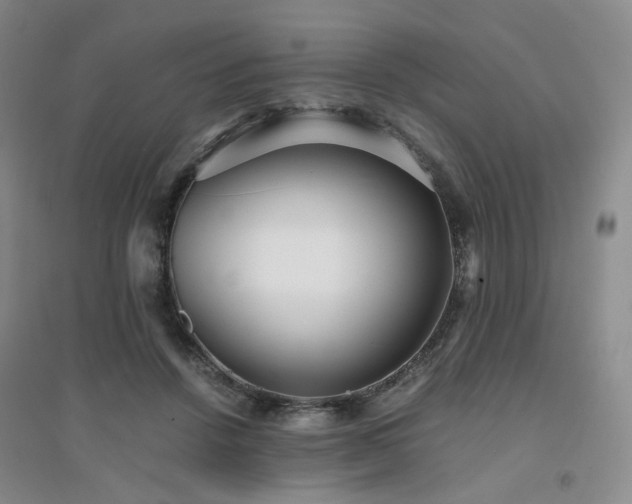 X0000094430456200711151346