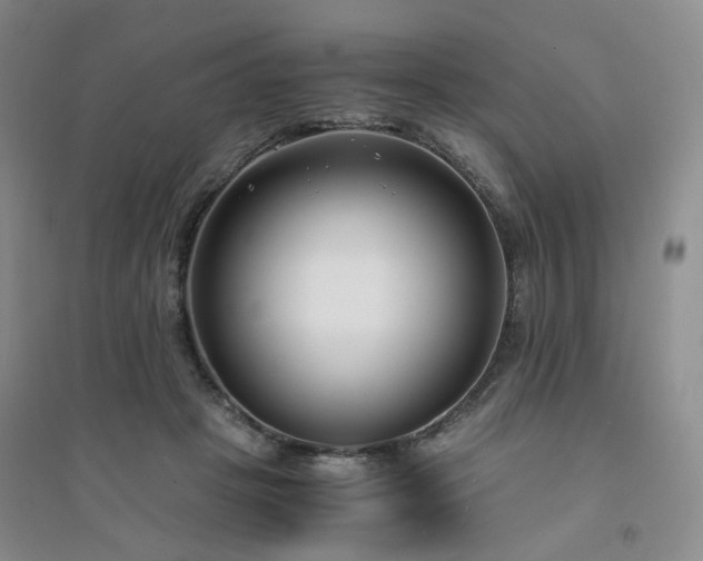 X0000094430457200711151346