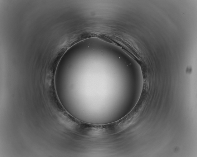 X0000094430458200711151346