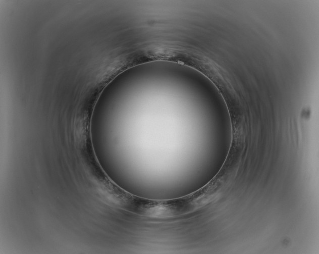 X0000094430460200711151346