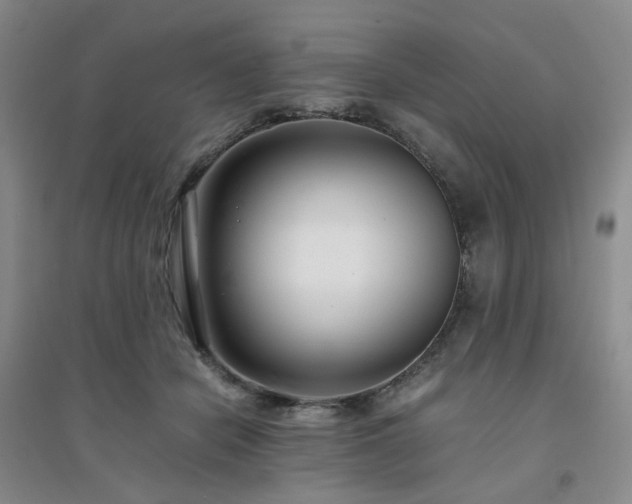 X0000094430462200711151346