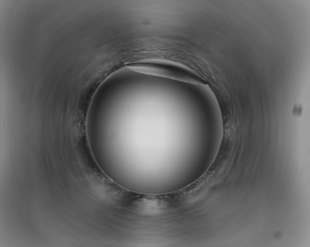 X0000094430464200711151346