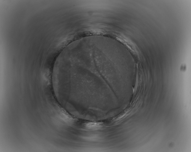 X0000094430465200711151346