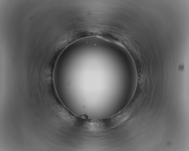 X0000094430466200711151346