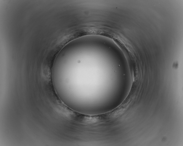 X0000094430469200711151346