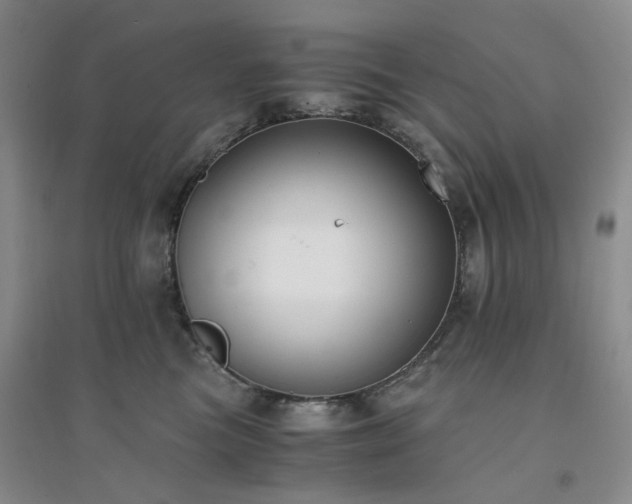 X0000094430473200711151346