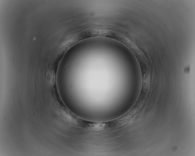 X0000094430474200711151346