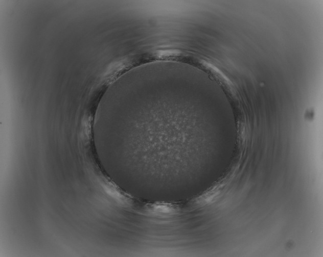 X0000094430475200711151346