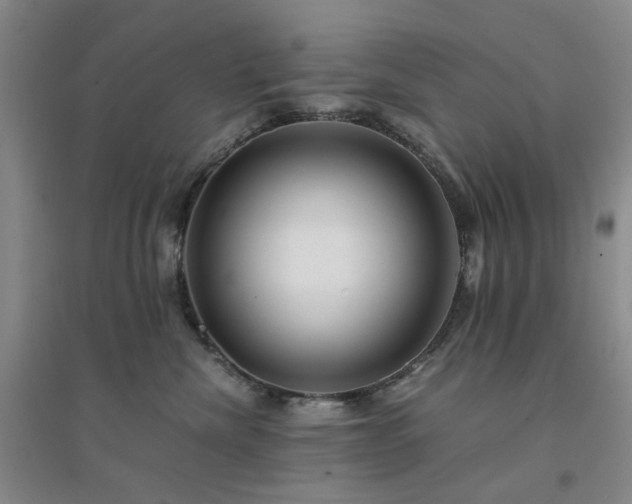 X0000094430476200711151346