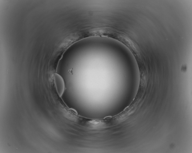 X0000094430477200711151346