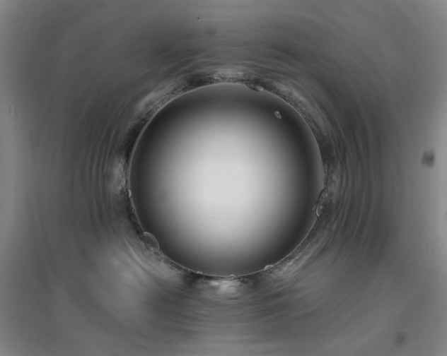 X0000094430478200711151346