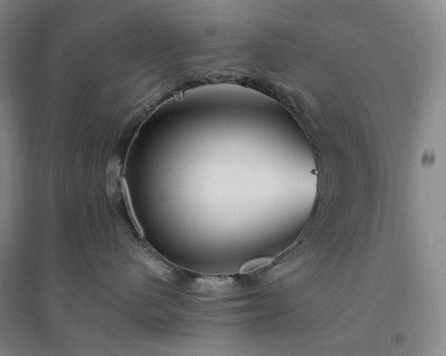 X0000094430480200711151346