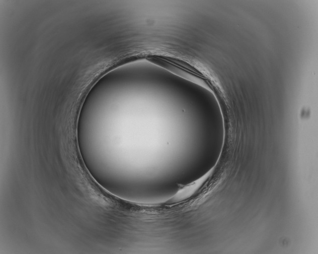 X0000094430481200711151345