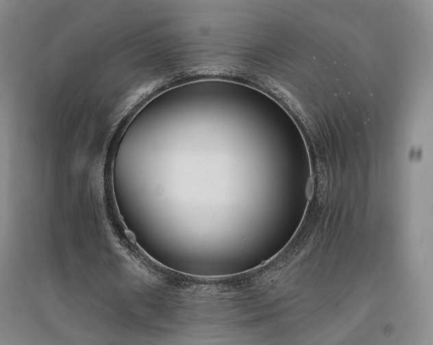 X0000094430482200711151345