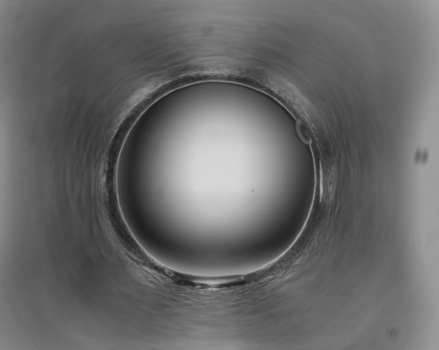 X0000094430483200711151345