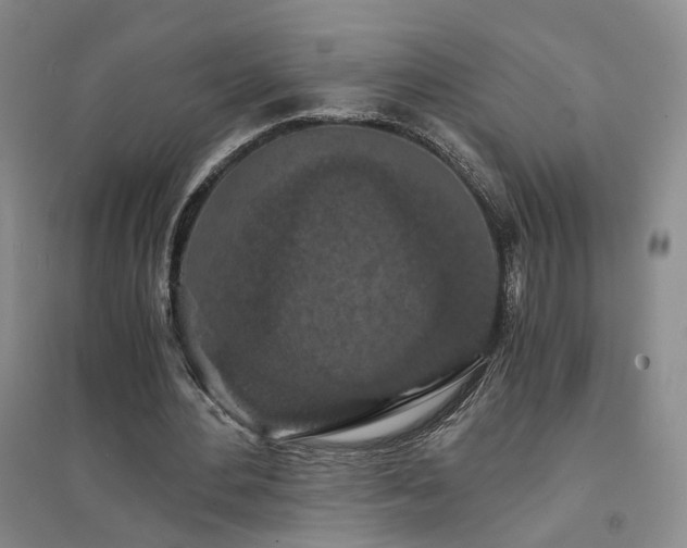 X0000094430484200711151345