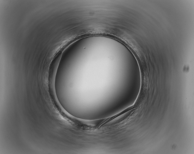 X0000094430485200711151345