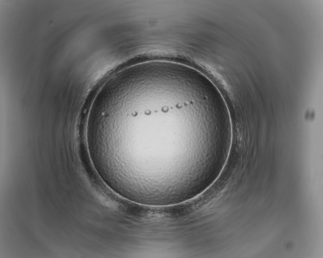X0000094430487200711151345