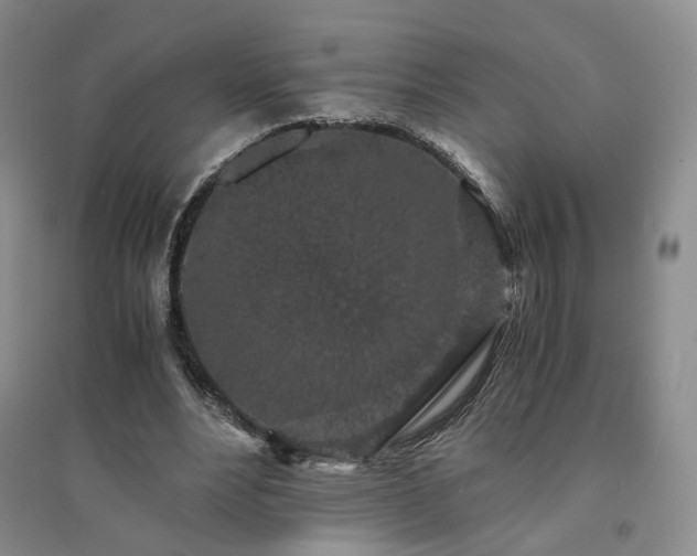 X0000094430488200711151345