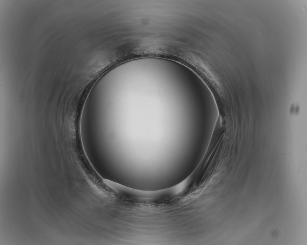 X0000094430489200711151345