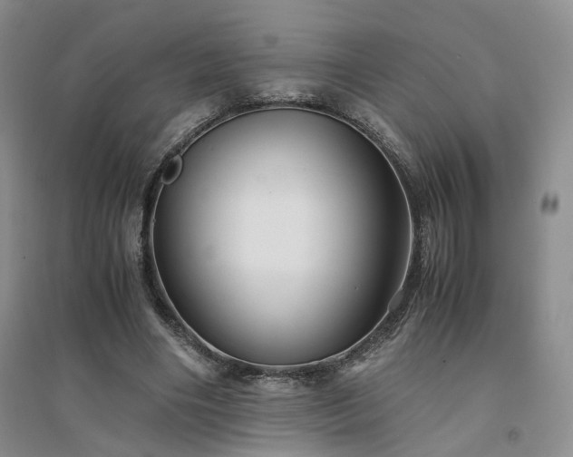 X0000094430490200711151345