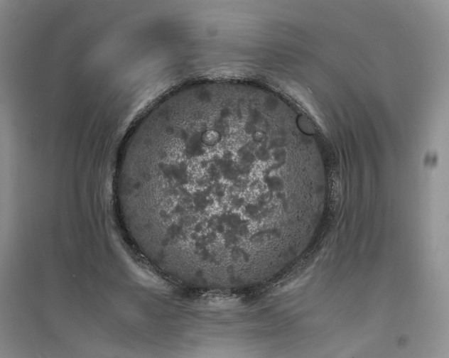 X0000094430491200711151345