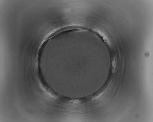 X0000094430492200711151345