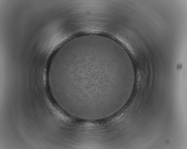 X0000094430494200711151345