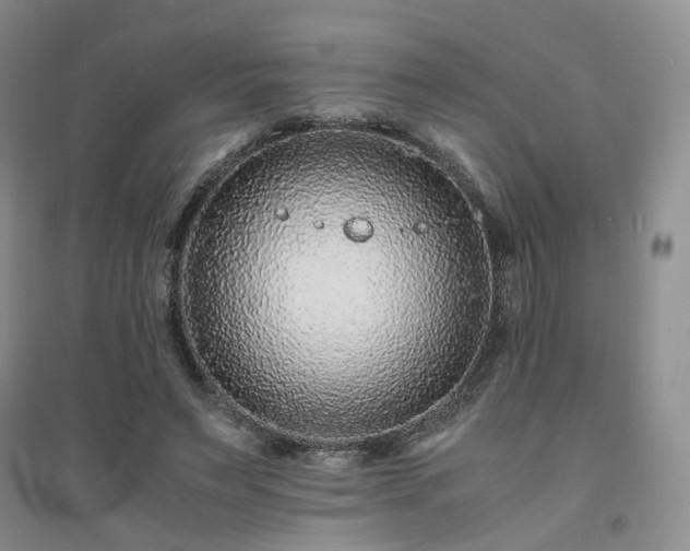 X0000094430495200711151345
